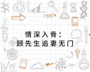 反向攻略，顾先生越追越勇,顾先生追爱之路的勇敢逆袭