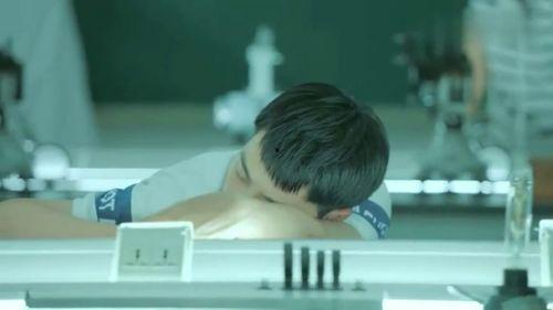 相反的你和我,探索人生哲学的辩证之旅