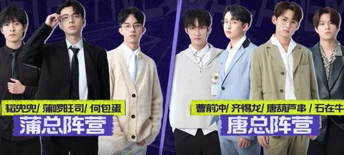 名侦探学院 第六季,探秘新篇章，智慧与勇气再起风云