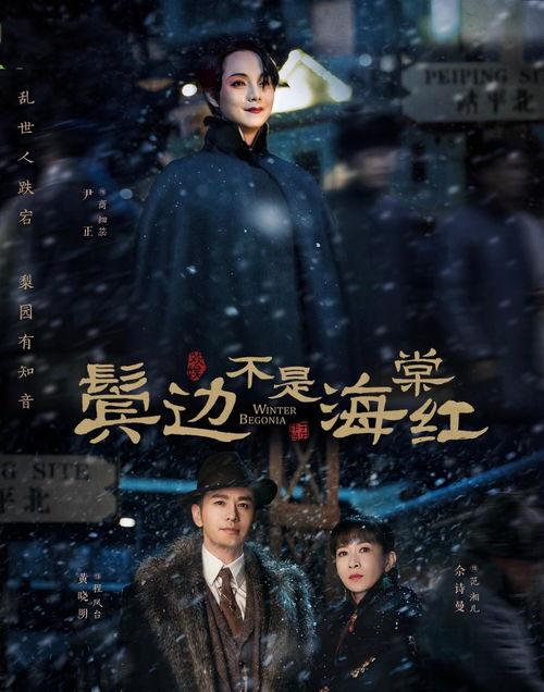 鬓边不是海棠红,鬓边海棠红影